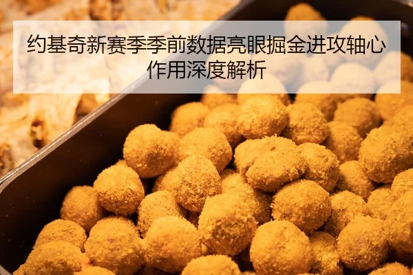 约基奇新赛季季前数据亮眼掘金进攻轴心作用深度解析