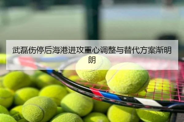 武磊伤停后海港进攻重心调整与替代方案渐明朗
