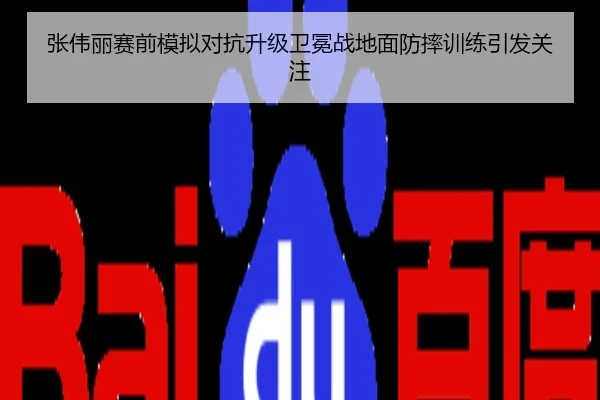 张伟丽赛前模拟对抗升级卫冕战地面防摔训练引发关注